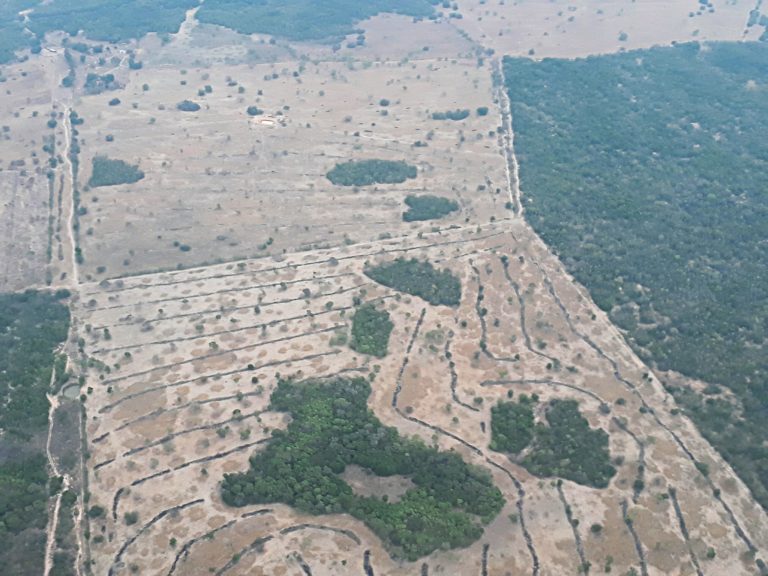 Desmatamento No Cerrado Pode Gerar Crise H Drica No Brasil