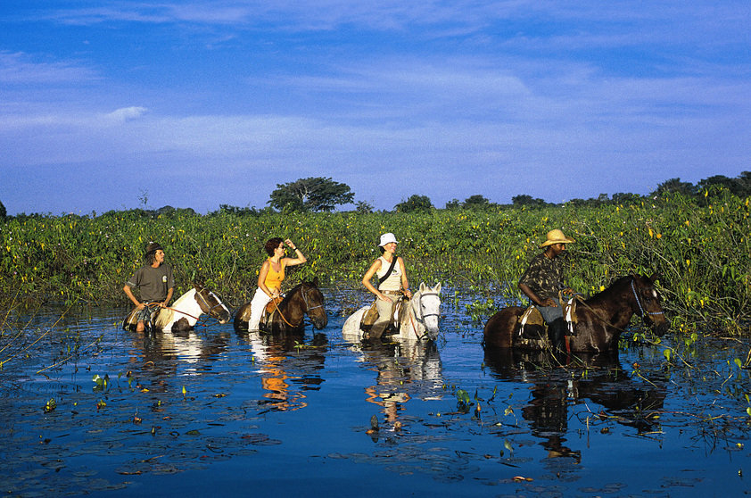 Estrada Parque Pantanal - Ecoa