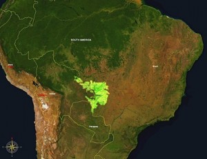 pantanal-brasil