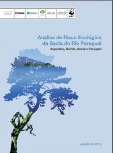 analise-de-risco-ecologico-da-bacia-rio-paraguai
