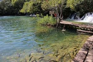 Bonito é considerado o polo do ecoturismo em nível mundial, suas principais atrações são as paisagens naturais, os mergulhos em rios de águas transparentes. (Foto: Reprodução)