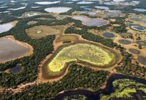 pantanal-desmatamento