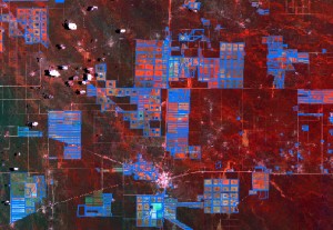 El análisis de la información satelital estableció que entre 2000 y 2012, en Santiago del Estero se desmontaron aproximadamente 2 millones de hectáreas. (Divulgación)