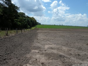 Fazenda Destino, em Ribeirão Cascalheira, iniciou a implantação em dezembro de 2011 (Foto: Junior Micolino-ISA)