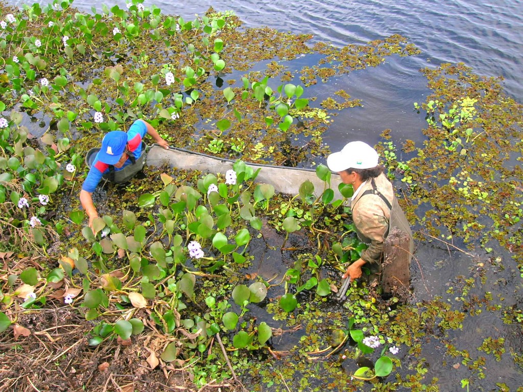 Isqueiras do Porto da Manga  na região da Estrada Parque Pantanal - - 2007