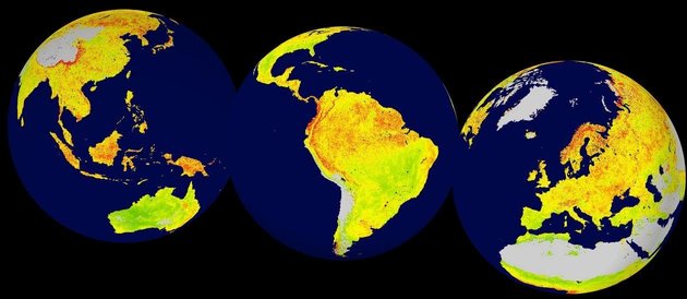 This global map shows where vegetation is most sensitive to climate variability. Red indicates higher ecosystem sensitivity, while green indicates lower ecosystem sensitivity. Grey areas are barren land or covered in ice. Inland water bodies are mapped in blue.