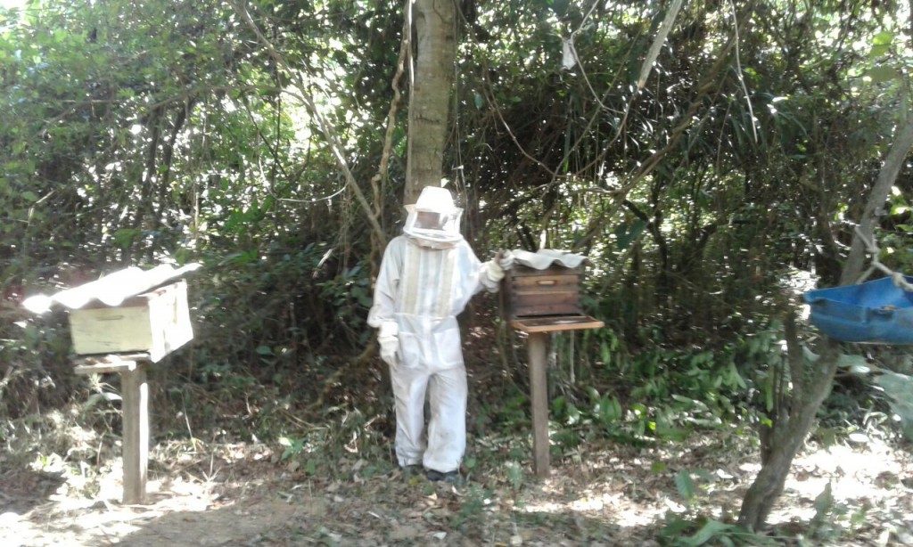 Comunidade da Barra do São Francisco, no Pantanal, prepara colmeias