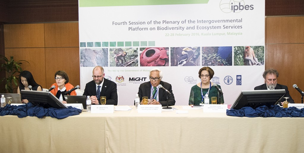 “Thematic assessment of pollinators, pollination and food production” durante a IV Plenária da Plataforma Intergovernamental sobre Biodiversidade e Serviços dos Ecossistemas (IPBES), realizada em Kuala Lumpur, Malásia, no fim de fevereiro. (C) IISD-RS