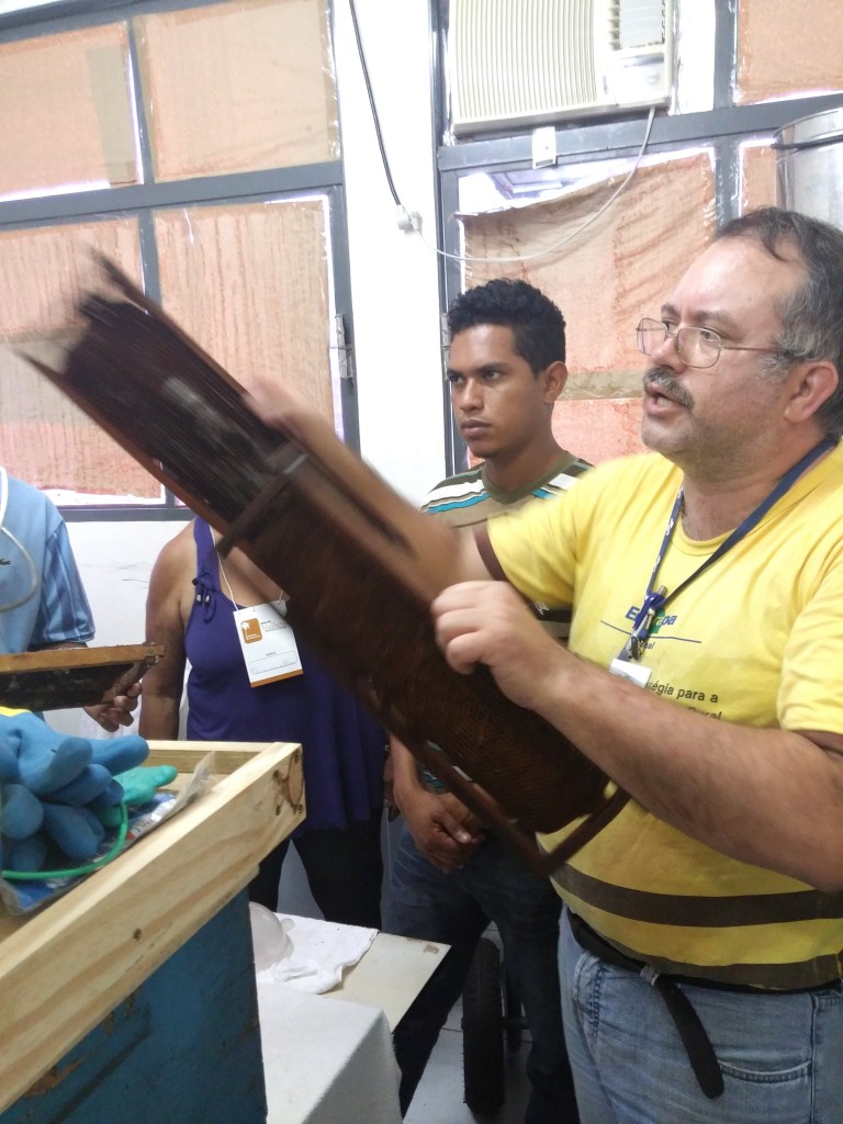 O pesquisadora da Embrapa, Vanderlei dos Reis, mostra o reaproveitamento da cera em favo (Foto: André Siqueira)