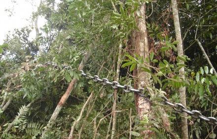 Banido em 2012, após a aprovação do novo Código Florestal, o implemento agrícola, popularmente conhecido como correntão, será liberado para ser usado na abertura de áreas em Mato Grosso.