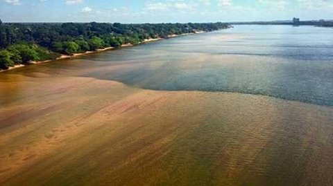 O rio Tocantins secando, acabando, morrendo. 