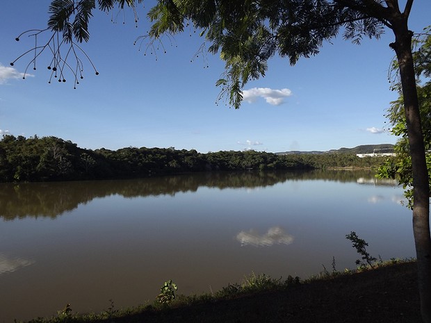 Parque Cesamar, em Palmas, reúne diversidade de animais e plantas da fauna e da flora em área de água doce no cerrado (Foto: Monique Almeida/G1)