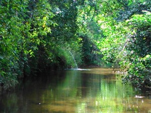 A calmaria do rio que lava a alma e refresca os turistas 