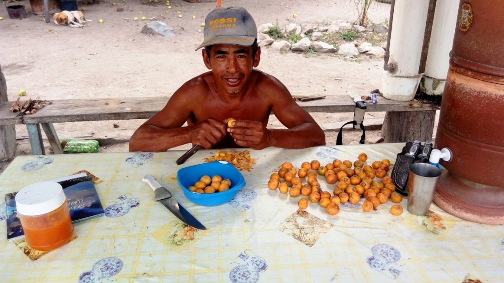 Sr. Jacaré da comunidade Porto Amolar, descascando bocaíuva para pescar. Foto: Vanessa Spacki