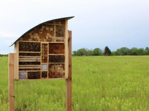 Os pesquisadores Daphne Myers e Scott Campbell de Lawrence, Kansas, desenvolveram um modelo de hotel para as chamadas "abelhas solitárias". Elas não formam colmeias como as abelhas e vespas mais conhecidas. Não têm rainha nem operárias - apenas uma única abelha e suas larvas.