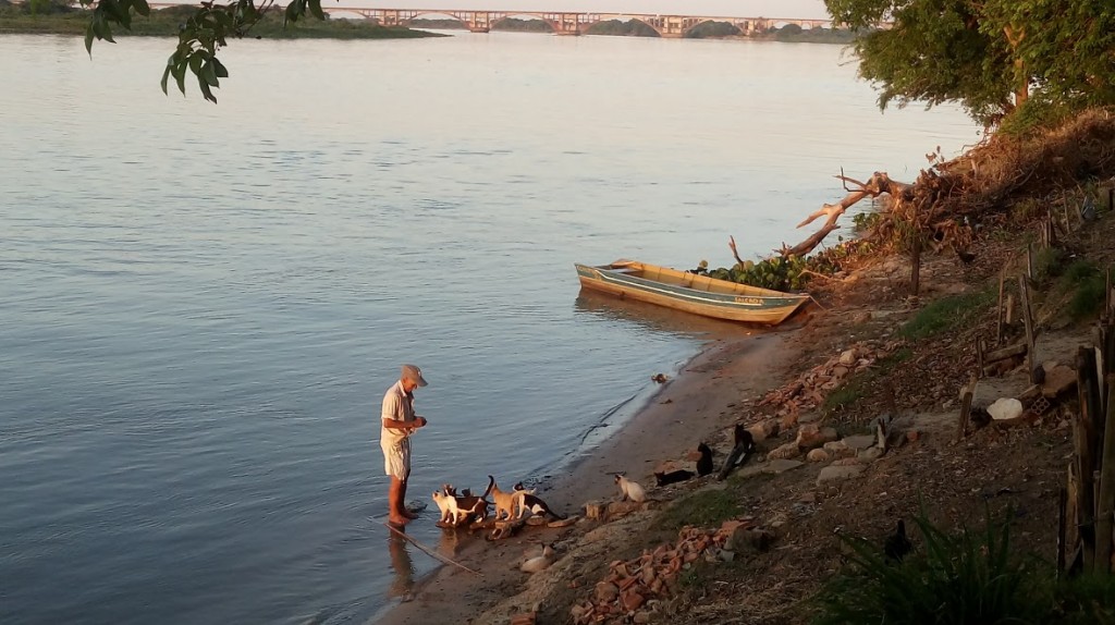 Pescador alimentando os gatinhos no Rio Paraguai.