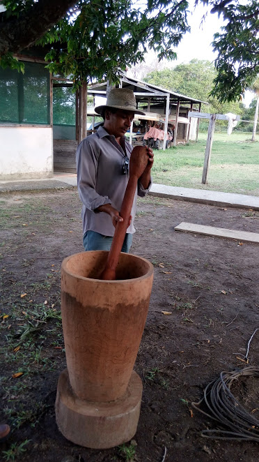 Sr. Jaburu conferindo o pilão produzido na região do Paraguai Mirim. 