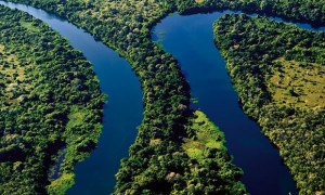 O rio Paraguai parece uma cobra, é cheio de curvas e reentrâncias; e eles querem instalar a hidrovia numa linha reta. Você faz ideia do impacto que isso teria?’ Photograph: Alamy Stock Photo/Pinterest