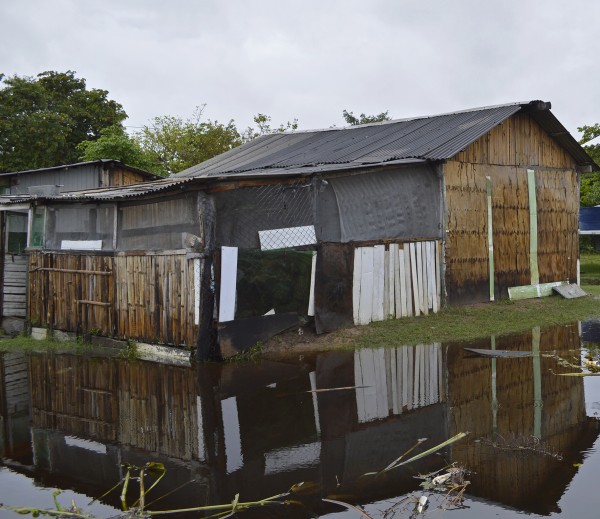 Casa de ribeirinho comprometida pela água durante período de cheia (Foto: Iasmim Amiden)