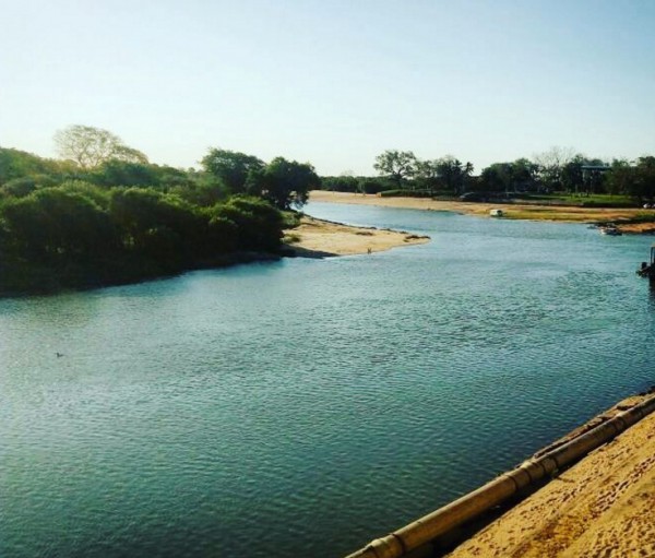 Rio Paraguai visto de Cáceres (Foto: Nathália  Ziolkowski)