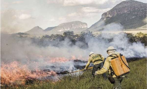 A queima controlada precede em seis meses a semeadura no Parque Nacional da Chapada dos Veadeiros (Foto: Fernando Tatagiba/ICMBIO)