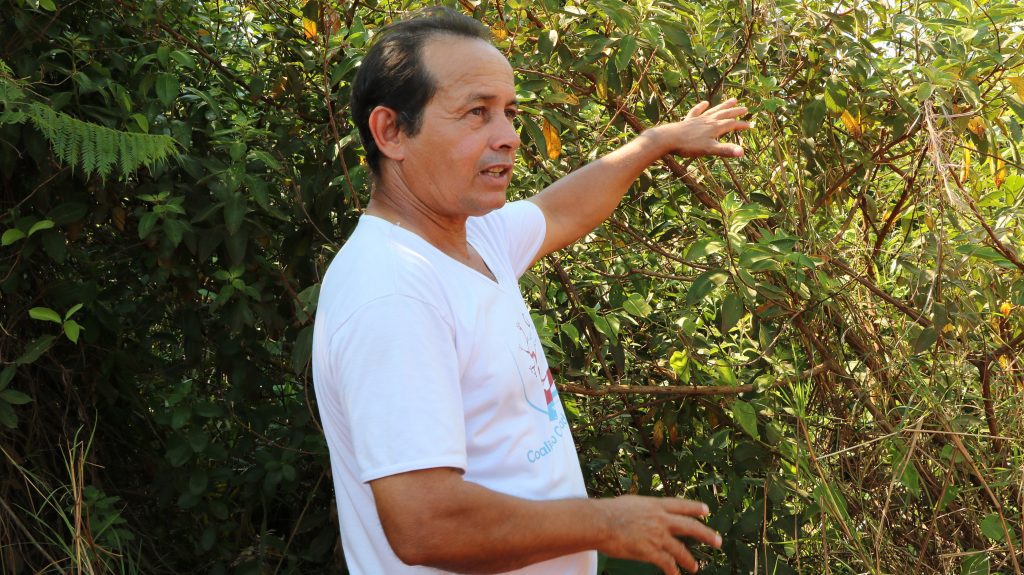 altair de souza - ceppec - agroextrativismo - frutos nativos - cerrado