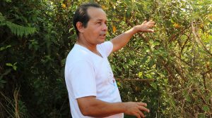 altair de souza - ceppec - agroextrativismo - frutos nativos - cerrado