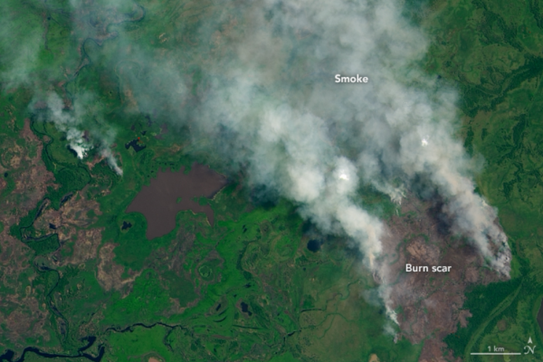Incêndios atingem o Pantanal em período considerado atípico. Imagem captada pela NASA em 04/08/2020.