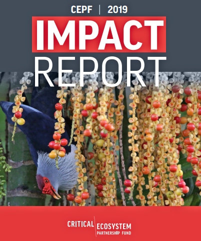 Impacto Report CPEF 2019
