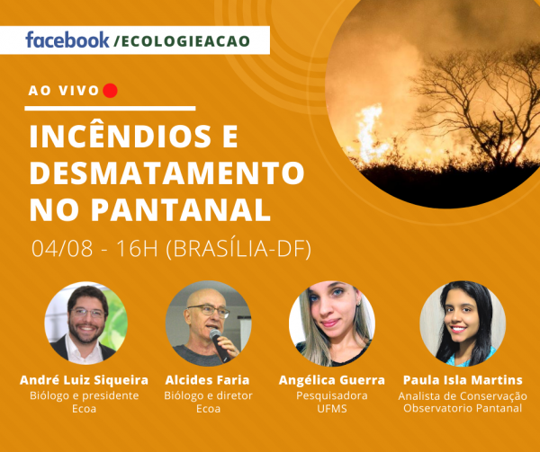 Incêndios e Desmatamento no Pantanal