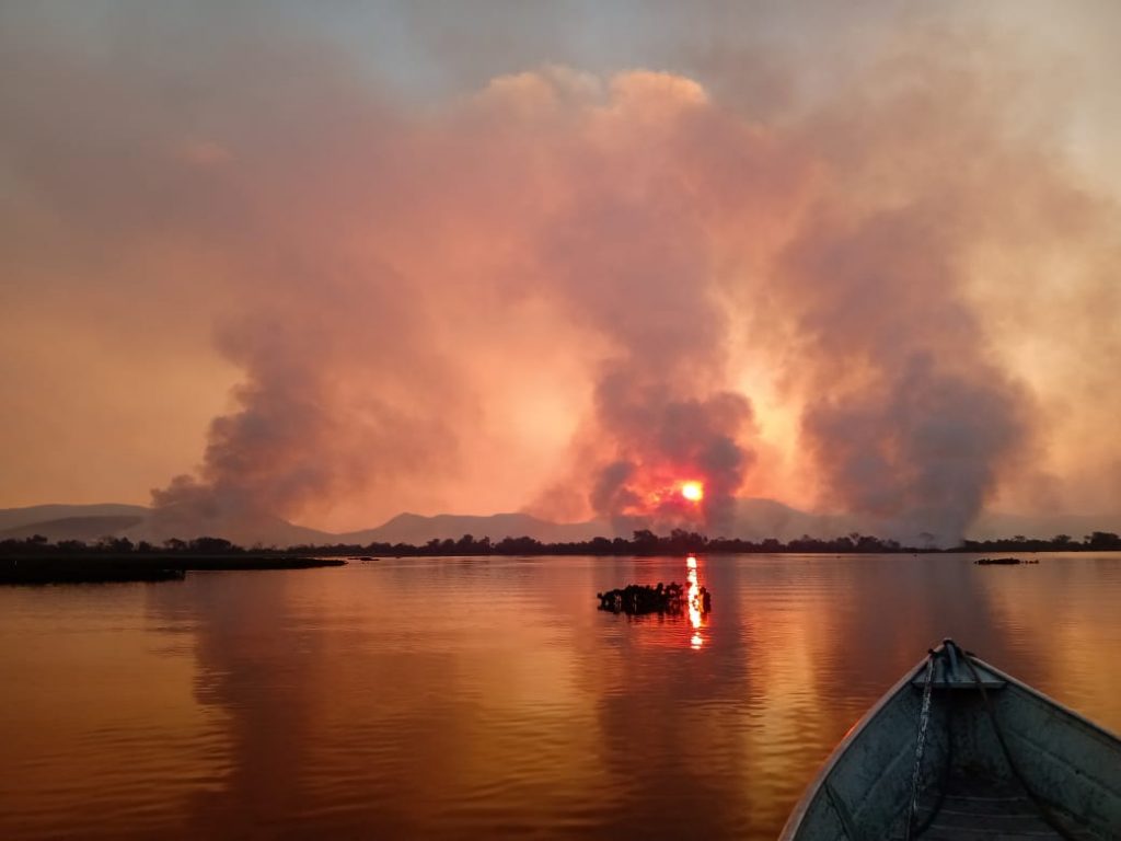 Ecoa atua no combate aos incêndios do Pantanal