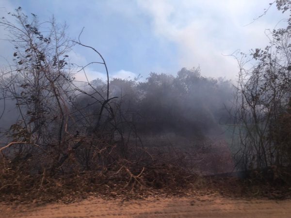 Incêndios no Pantanal