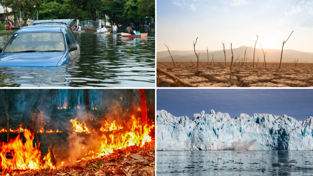 Frio extremo, como o atual, também pode ser um fruto da crise do clima 