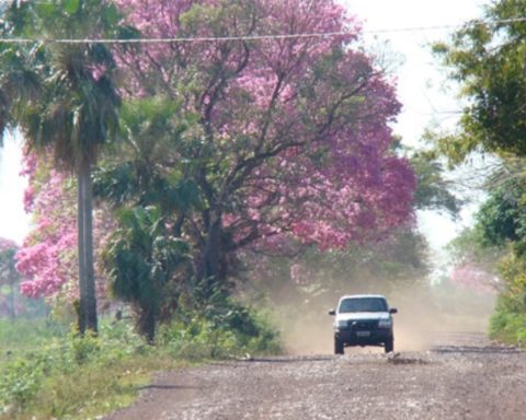 estrada parque Pantanal