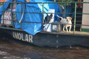 barco do pantanal