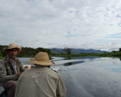 viagem de barco pelo pantanal