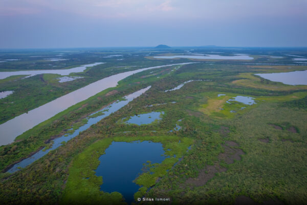Expedição Pantanal