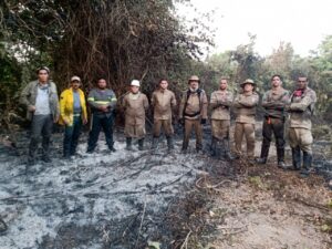 Fogo no Pantanal foi apagado por bombeiros e brigadistas