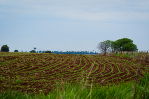 aldeia indígena guyraroká está sitiada por agrotóxicos