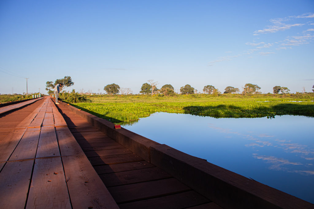 estrada parque pantanal