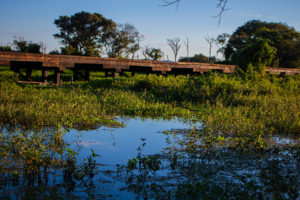 pontes da estrada parque pantanal