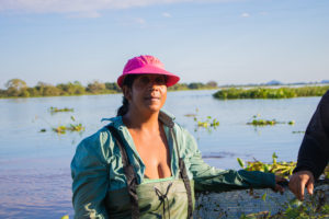 coleta de iscas pantanal