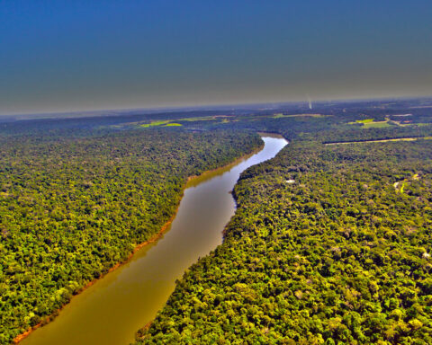 Rio Paraná. Foto: Rodrigo Soldon