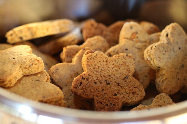 biscoito de baru CEPPEC